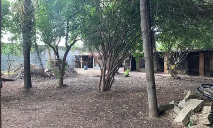 Terreno (comercial / residencial) plano para venda na vila campos sales, jundiaí sp