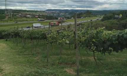 13 mil m² - EXCELENTE ÁREA RESIDENCIAL PARA VENDA NO BAIRRO DO POSTE (PRÓXIMO  ROD. BANDEIRANTES) , JUNDIAI SP