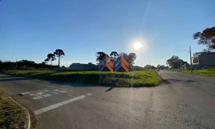 Terreno à venda, 754 m² por r$ 500.000,00 - rio pequeno - são josé dos pinhais/pr