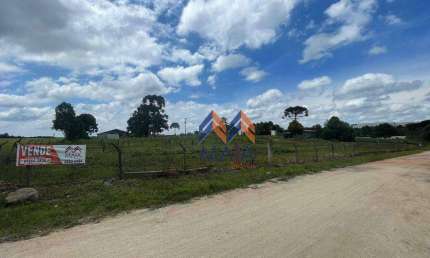 Terreno à venda, 39000 m² por R$ 4.680. - Campo Largo da Roseira - São José dos Pinhais/PR