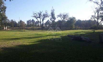 Área à venda, 5000 m² por R$ 1.980.000,00 - Guatupê - São José dos Pinhais/PR