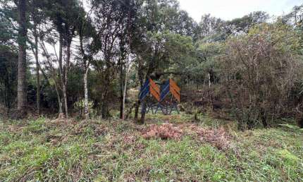 Terreno à venda em Miringuava, São José dos Pinhais , 5000 m2 por R$ 298.000