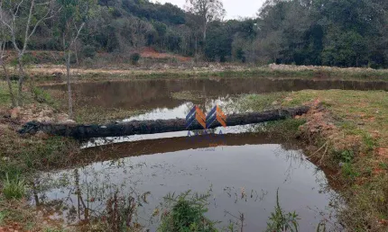 Terreno à venda na Colônia Murici, São José dos Pinhais 