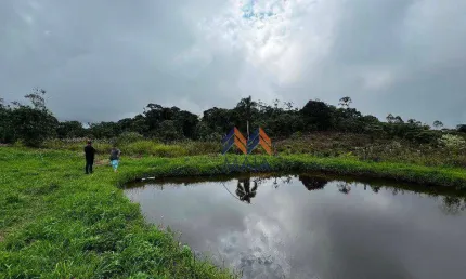 Chácara com 33000 m² por R$ 450.000 - Borda Do Campo - São José dos Pinhais/PR