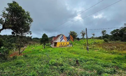 Chácara com 2 dormitórios à venda, 66000 m² por R$ 990.000,00 - Borda Do Campo - São José dos Pinhais/PR