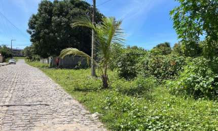 Terreno comercial à venda no Pium (Distrito Litoral), Parnamirim 
