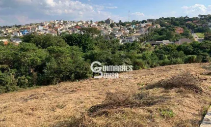 Terreno à venda, 600 m² por R$ 450.000 - Bairro do Bosque - Vinhedo/SP