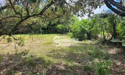 Terreno à venda, 2460 m² por R$ 350.000 - Parque Valinhos - Valinhos/SP