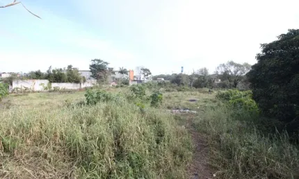 Excelente Oportunidade de Locação de Terreno no Bairro Centro de Pelotas/RS