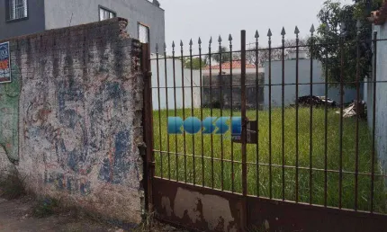 Terreno à venda, 310 m² por r$ 1.100.000,00 - jardim avelino - são paulo/sp