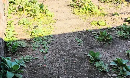Terreno à venda na Rua Francisco Fernandes da Cunha, Campo Grande, Rio de Janeiro