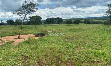 FAZENDA À VENDA AS MARGENS DO RIO PIRACANJUBA EM RIO QUENTE - 10 ALQUEIRES