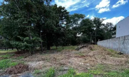 Terreno à venda na Rua das Paineiras, Residencial Villa Verde, Senador Canedo