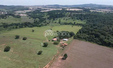 Fazenda boa vista (20 alqueires) - linda vista - município de cezarina-go