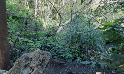 Terreno à venda, 4500 m² por r$ 250.000,00 - itaocaia valley (itaipuaçu) - maricá/rj