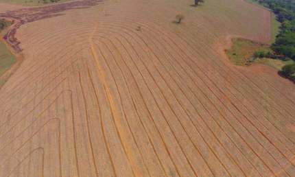 Fazenda  Venda Patos de Minas/MG dupla aptidão, agricultura e pecuária