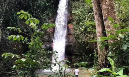 Fazenda à venda no Centro, Mambaí 