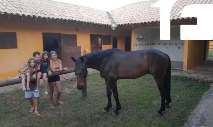Fazenda à venda no Jardim Emicol, Itu 