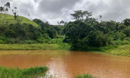 Fazenda Execelente na Região Itapira–São Paulo area de  106 Alqueires(paulista)