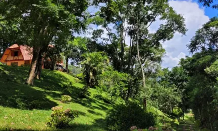 SITIO MARAVILHOSO OPORTUNIDADE EM SANTO ANTÔNIO DO PINHAL