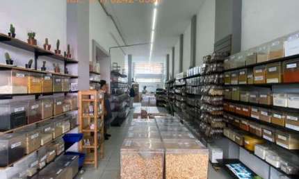 Bela Vista - Excelentre Loja com 145m² - Excelente Localização;