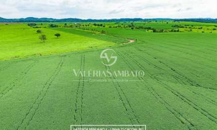 Fazenda Minuano II - Linha 21 - 1.434 ha - Cacoal - Rondônia