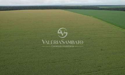 Fazenda à venda na Zona Rural, Zona Rural, Vera