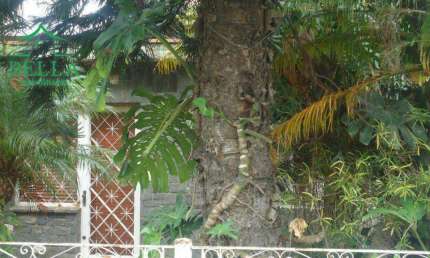 Terreno residencial à venda, Vila Pirituba, São Paulo.