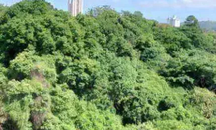 Apartamento com 2 dormitórios à venda, 46 m² por R$ 370.000,00 - Pirituba - São Paulo/SP