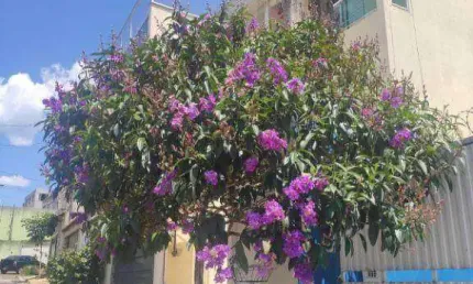 Casa com 3 quartos à venda na Rua das Andorinhas, Paraíso (Polvilho), Cajamar, 180 m2 por R$ 730.000