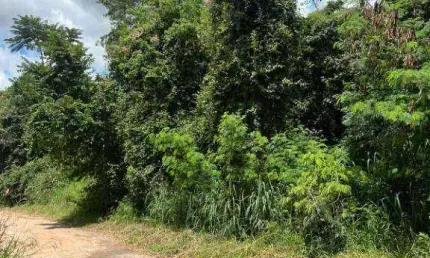 Terreno à venda, 400 m² por R$ 300.000,00 - Jardim Paulista - Atibaia/SP