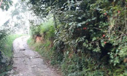 Terreno à venda, 14431 m² por R$ 2.800.000,00 - Ipês (Polvilho) - Cajamar/SP