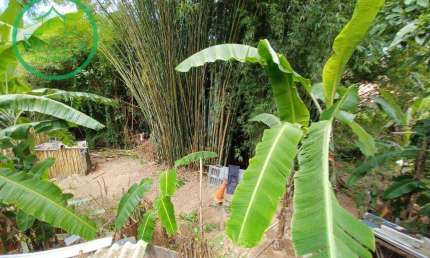 Terreno à venda, 3523 m² por R$ 1.000.000,00 - Jardim Belizário - Cotia/SP