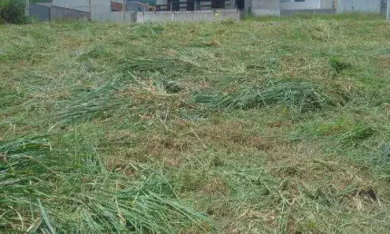 Terreno de 230m² em bairro planejado e com comércio local próximo