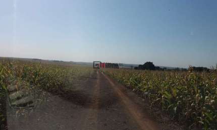 Terreno à venda, 72.000 m² por R$ 3.180.000 - Zona Rural - Warta - Londrina/PR