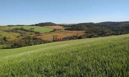 Sítio de 12,79 alqueires à venda - R$. 3.200.000,00,  na zona sul de Londrina, aproximadamente 20 k
