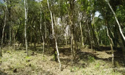Terreno Condomínio Rural para Venda em Rancho Queimado, Centro