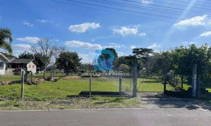 Terreno à venda na Br 101 - Km, Vila Conceição, São João do Sul