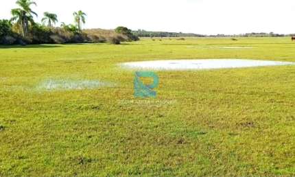 Fazenda com 270 hectares em Tavares-Rs, com aptidão para pecuária