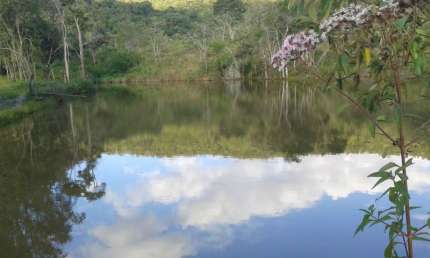 Vende-se uma fazenda em Ouro Branco/MG para preservação.