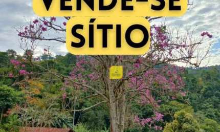 Sítio com 7,5 alqueires mineiros, com várias nascente, em São José das Três Ilhas.