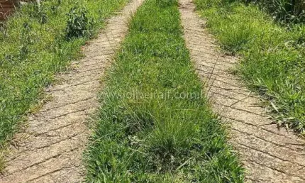 Excelente Terreno no Goiabal em Monte Verde de frente para o Rio do Peixe, com 700m², acima da estrada.