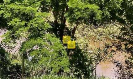 Excelente terreno no Goiabinha, depois de Goiabal em Monte Verde dando fundos para o Rio do Peixe.