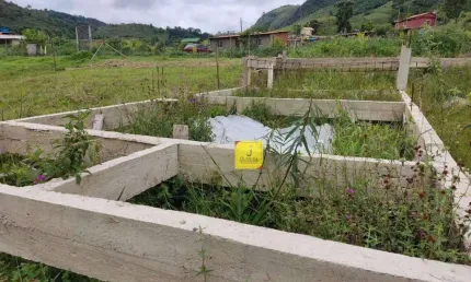 Oportunidade! Granja pequena (com 550m²) - Já com base de concreto pronta para uma casa de aproximadamente 100m² - nos Cordeiros (Estrada da Lagoa).
