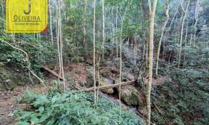 Sítio de 6,3Ha com Chalé e 2 Açudes à 12km de Igrejinha - (No Maracujá-BR 267).