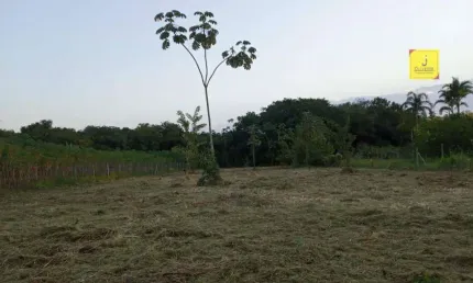 Excelente Terreno, totalmente plano, com 2.000m², na Barra, à apenas 2 Km
