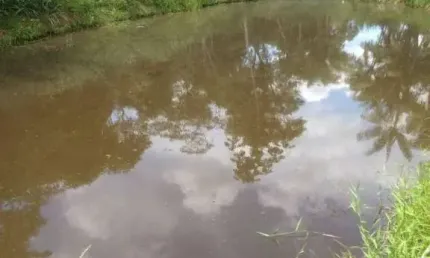 Excelente terreno, totalmente plano, com açude e córrego de água, no centro de Goianá.