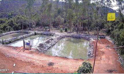 Pesque e Pague à venda, com terreno de 6000m² por R$175.000,00 - Na estrada de Torreões (Juiz de Fora)/MG.
