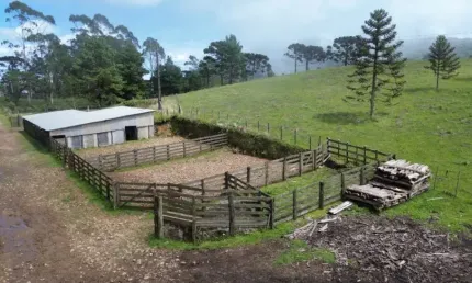 Fazenda com 1 sala à venda no Ouro Verde, Cambará do Sul 