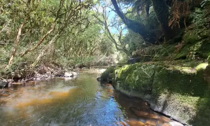 Chácara / sítio à venda na Rua São José, Zona Rural, Cambará do Sul